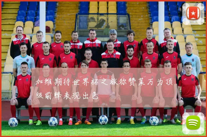 加维期待世界杯之旅称赞莱万为顶级前锋表现出色