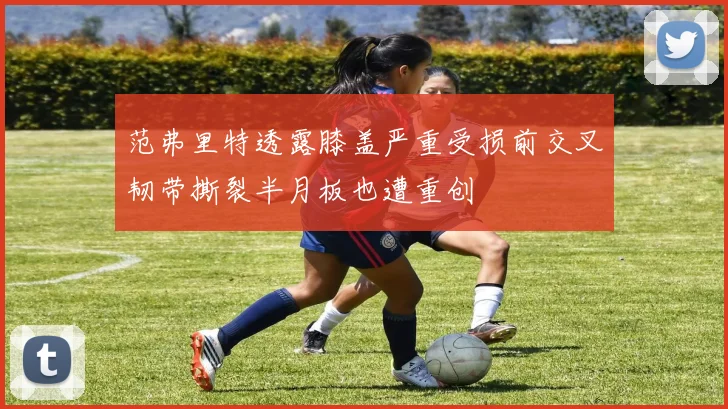范弗里特透露膝盖严重受损前交叉韧带撕裂半月板也遭重创